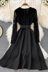 Black Lace Long Sleeve Dress