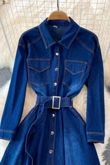 Blue A-line Long Sleeve Denim Dress