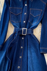 Blue A-line Long Sleeve Denim Dress