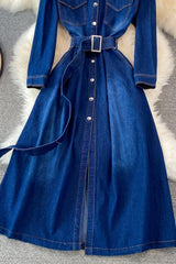 Blue A-line Long Sleeve Denim Dress