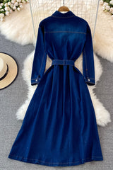 Blue A-line Long Sleeve Denim Dress