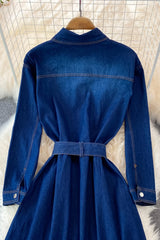 Blue A-line Long Sleeve Denim Dress