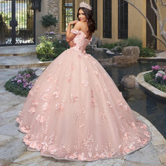 Quinceañera Sample Dress QY303