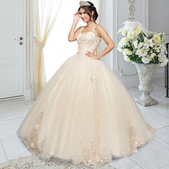 Quinceañera Sample Dress QX410