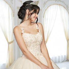 Quinceañera Sample Dress QX410