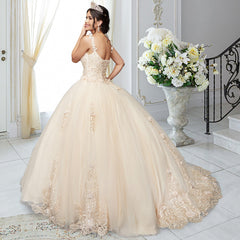 Quinceañera Sample Dress QX410