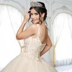 Quinceañera Sample Dress QX410