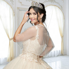 Quinceañera Sample Dress QX410