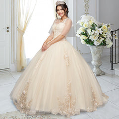 Quinceañera Sample Dress QX410
