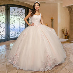 Quinceañera Sample Dress QX410
