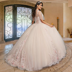 Quinceañera Sample Dress QX410