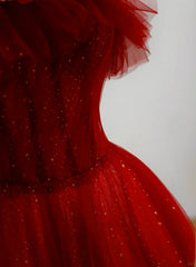 Wine Red Tull A-line Scoop Long Prom Dress, Wine Red Tulle Evening Dress