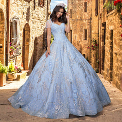 Quinceañera Sample Dress QY301