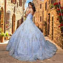 Quinceañera Sample Dress QY301