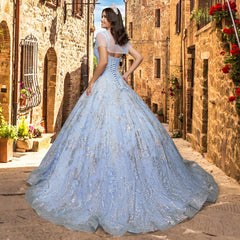 Quinceañera Sample Dress QY301