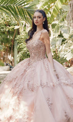 Quinceanera Dress By Juliet JT1450J