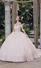 Quinceanera Dress By Juliet JT1460J