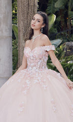 Quinceanera Dress By Juliet JT1460J