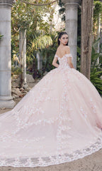 Quinceanera Dress By Juliet JT1460J