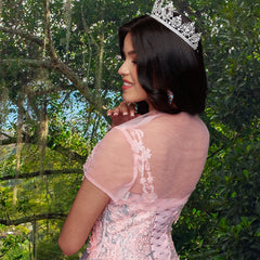 Quinceañera Sample Dress QY301