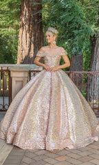 Quinceanera Dress 1559 by Dancing Queen