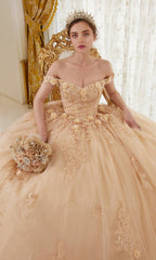 Ladivine 15702 Quinceañera Dress with 3-D Flowers