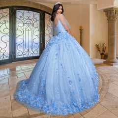 Quinceañera Sample Dress QF105