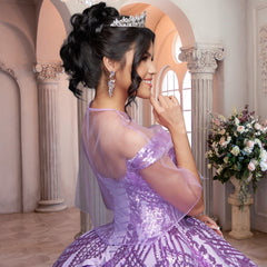 Quinceañera Sample Dress QF113