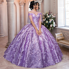 Quinceañera Sample Dress QF113