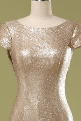Mermaid Sequins Prom Dress