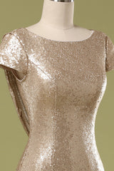 Mermaid Sequins Prom Dress