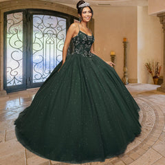 Quinceañera Sample Dress QY304