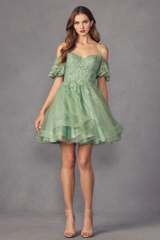 Embroidered lace applique short off shoulder short sleeved sparkling dress
