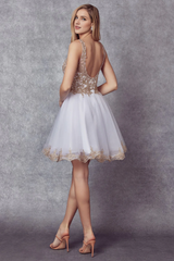 Embroidered short sleeveless V-neck dress