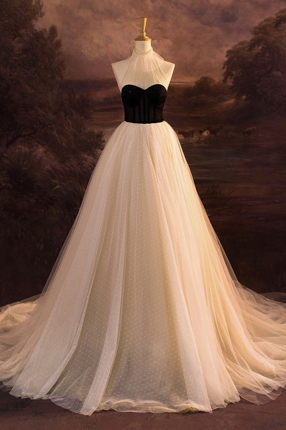 Elegant Tulle Long A-Line Prom Dress, Beautiful Evening Party Dress