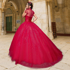 Quinceañera Sample Dress QX408