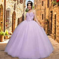 Quinceañera Sample Dress QX408