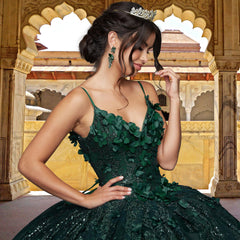 Quinceañera Sample Dress QF103