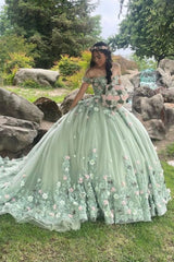 Elegant Sage Green Applique Off-the-shoulder Sweet 16 Quinceanera A-Line Floor-length Prom Dress Birthday Dress Evening Dress Ball Gown HZ1024