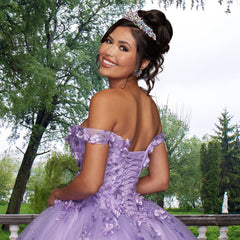 Quinceañera Sample Dress QY303