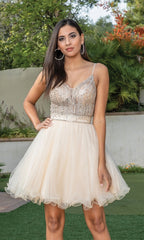 Short Homecoming Dress 3313