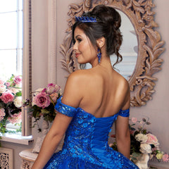 Quinceañera Sample Dress QF117