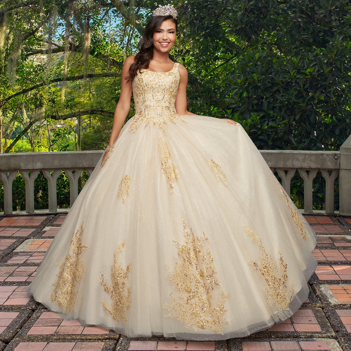 Quinceañera Sample Dress QY310