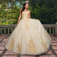 Quinceañera Sample Dress QY310