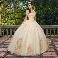 Quinceañera Sample Dress QY310