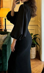 Elegant Prom Dress Black High Collar Sheath Gala Gown Evening Dress Formal Outfits HZ0319