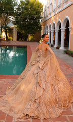 Quinceanera Dress 54303 By Amarra