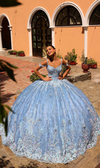 Quinceanera Dress 54310 By Amarra