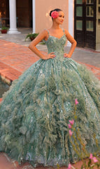Quinceanera Dress 54314 By Amarra