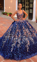 Quinceanera Dress 54322 By Amarra